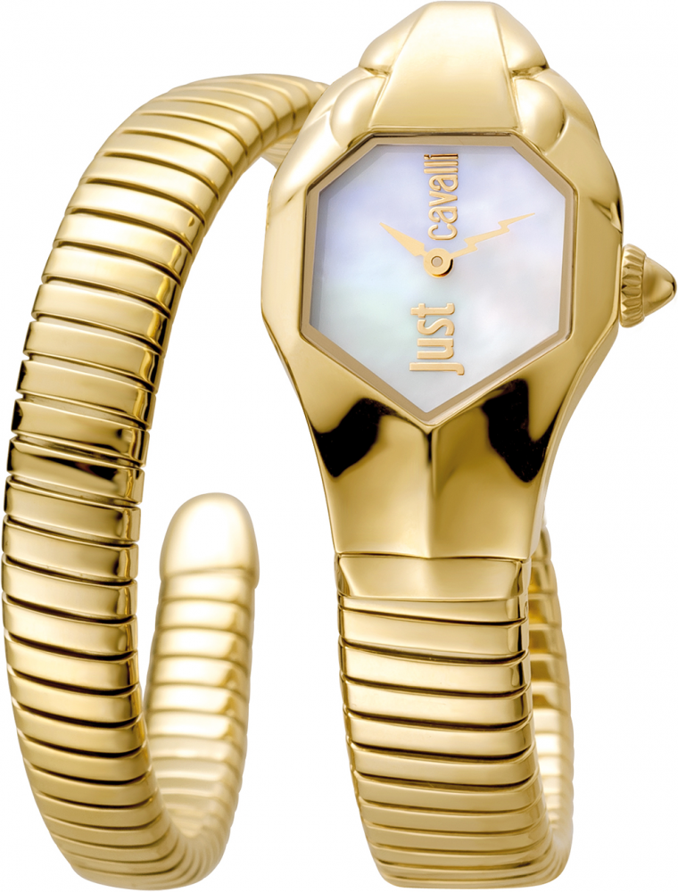 Roberto Cavalli DOTTED Womens Steel Gold Watch/Bracelet Set RV1L062M00 –  Altivo
